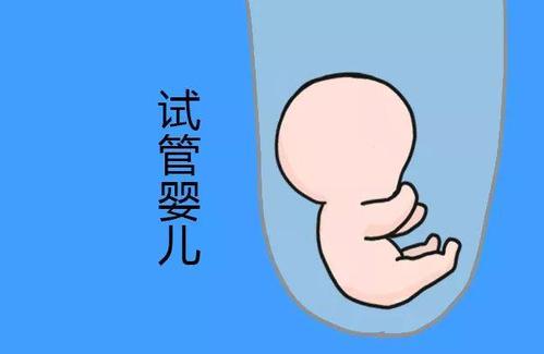 遗传咨询